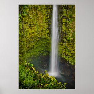 Poster Magnifiques cascades et chutes d'eau abondent