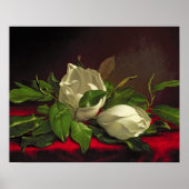 Poster Magnolia (Devant)