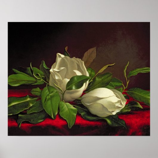 Poster Magnolia (Devant)