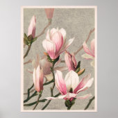 Poster Magnolia (Devant)