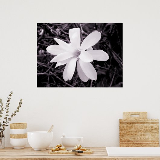 Poster Magnolia (Cuisine)