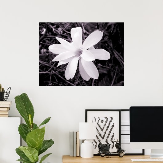Poster Magnolia (Bureau à domicile)