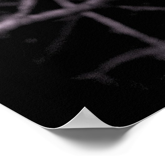 Poster Magnolia (Coin)