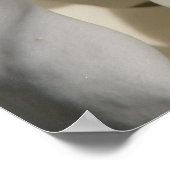 Poster magnolia (Coin)