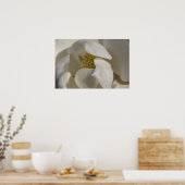 Poster magnolia (Cuisine)
