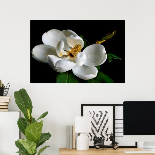 Poster Magnolia (Bureau à domicile)