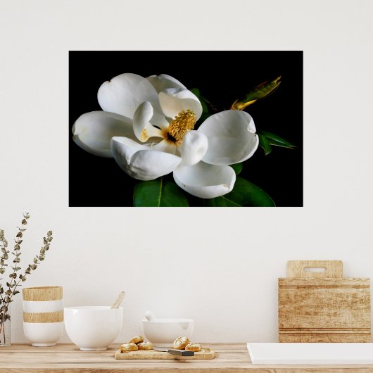 Poster Magnolia (Cuisine)