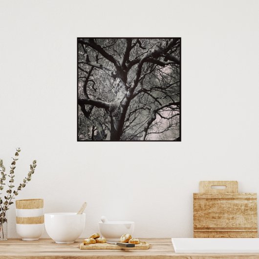 Poster Magnolia (Cuisine)