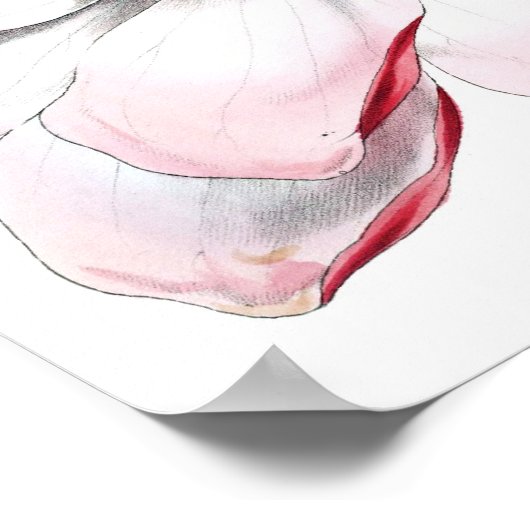 Poster Magnolia (Coin)