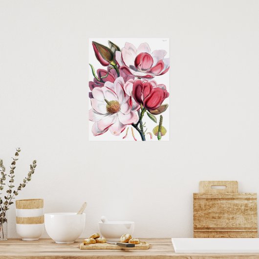 Poster Magnolia (Cuisine)