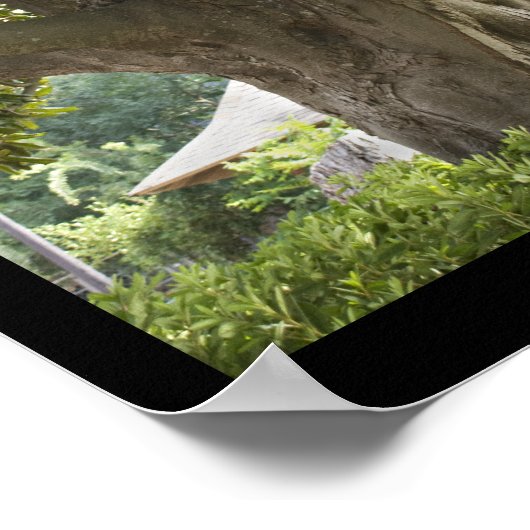 Poster Magnolia (Coin)