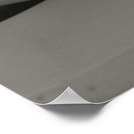 Poster Magnolia 1, 2009 (Coin)