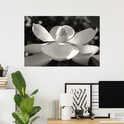 Poster Magnolia 1, 2009 (Bureau à domicile)