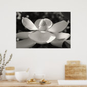 Poster Magnolia 1, 2009 (Cuisine)