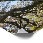 Poster Magnolia Arbres, Branches et Blossom 02 (Coin)