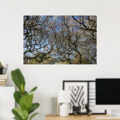 Poster Magnolia Arbres, Branches et Blossom 02 (Bureau à domicile)