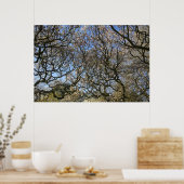 Poster Magnolia Arbres, Branches et Blossom 02 (Cuisine)