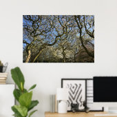 Poster Magnolia Arbres, Branches et Blossom 03 (Bureau à domicile)