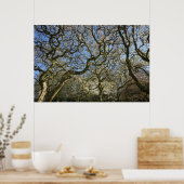 Poster Magnolia Arbres, Branches et Blossom 03 (Cuisine)