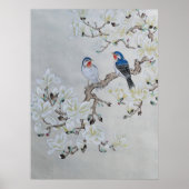 Poster Magnolia blanc (Devant)