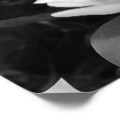 Poster Magnolia Bloom (Coin)