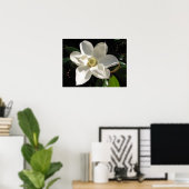 Poster Magnolia Bloom (Bureau à domicile)