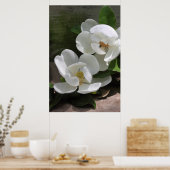 Poster Magnolia Blooms -24x36 -autres tailles auss (Cuisine)