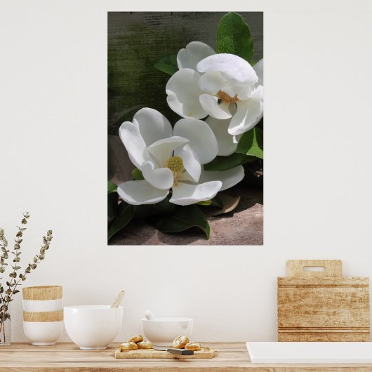 Poster Magnolia Blooms -24x36 -autres tailles auss (Cuisine)