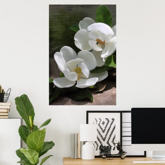 Poster Magnolia Blooms -24x36 -autres tailles auss (Bureau à domicile)