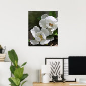 Poster Magnolia Blooms Imprimer -20x24 -autres tailles ég (Bureau à domicile)