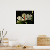 Poster Magnolia blossom (Cuisine)