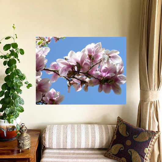 Poster Magnolia blossom