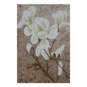 Poster Magnolia blossom (Devant)