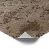 Poster Magnolia blossom (Coin)