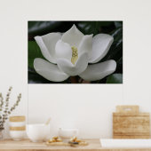 Poster Magnolia Blossom sur le campus de Blacksburg (Cuisine)