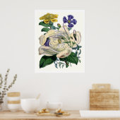 Poster Magnolia botanique vintage (Cuisine)