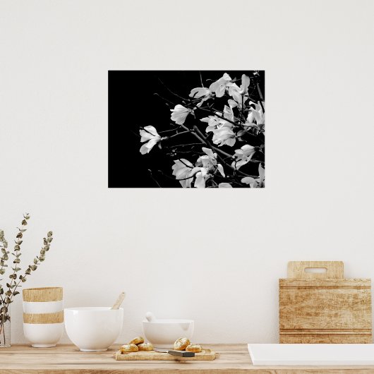 Poster Magnolia Branches Art (Cuisine)