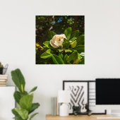 Poster Magnolia de Corfou (Bureau à domicile)