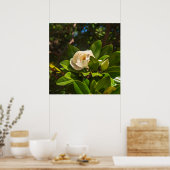 Poster Magnolia de Corfou (Cuisine)