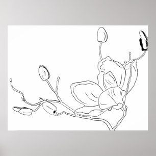 Poster Magnolia dessins botaniques au trait