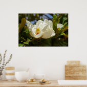 Poster Magnolia du Sud fleurit dans l'affiche Feuille (Cuisine)