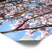 Poster Magnolia en avril (Coin)