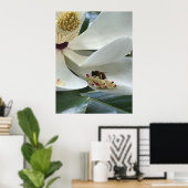Poster Magnolia en gros plan (Bureau à domicile)