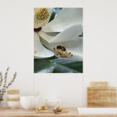 Poster Magnolia en gros plan (Cuisine)