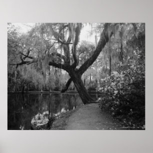 Poster Magnolia Gardens
