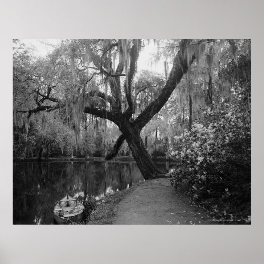 Poster Magnolia Gardens (Devant)