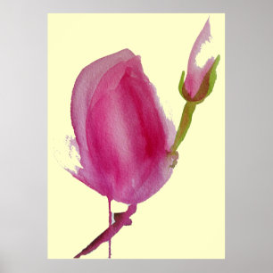 Poster Magnolia rose grande fleur rose aquarelle art