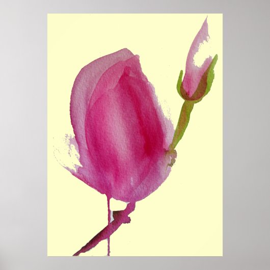 Poster Magnolia rose grande fleur rose aquarelle art (Devant)