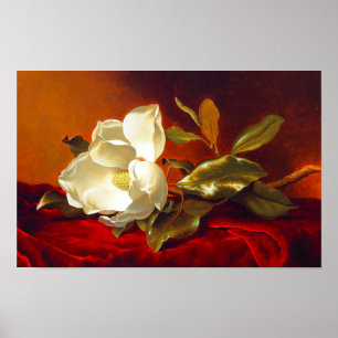 Poster Magnolia sur Red Velvet Martin Johnson Heade