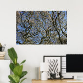 Poster Magnolia Trees, Branches et Blossom 04 (Bureau à domicile)